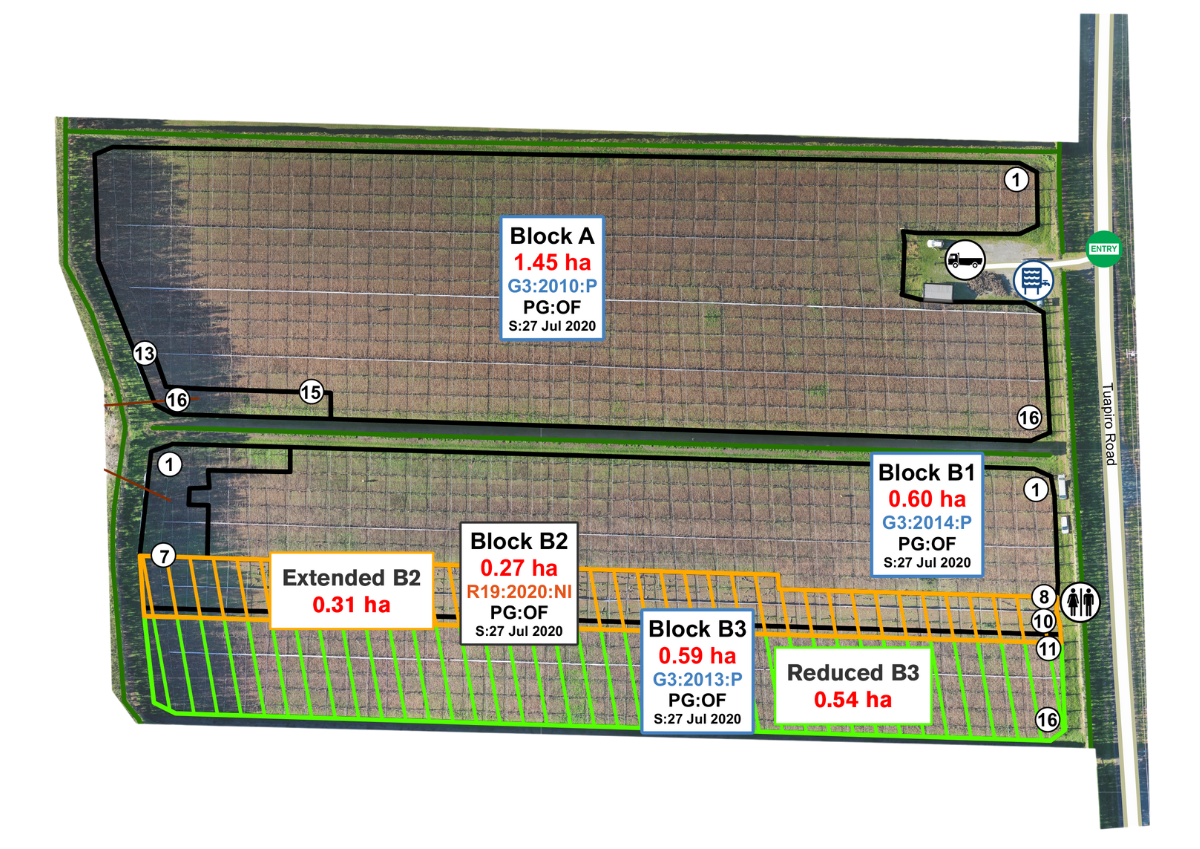Orchard Mapping Gpsit - Professional City Design - 4K